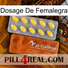 Femalegra Dosage 42